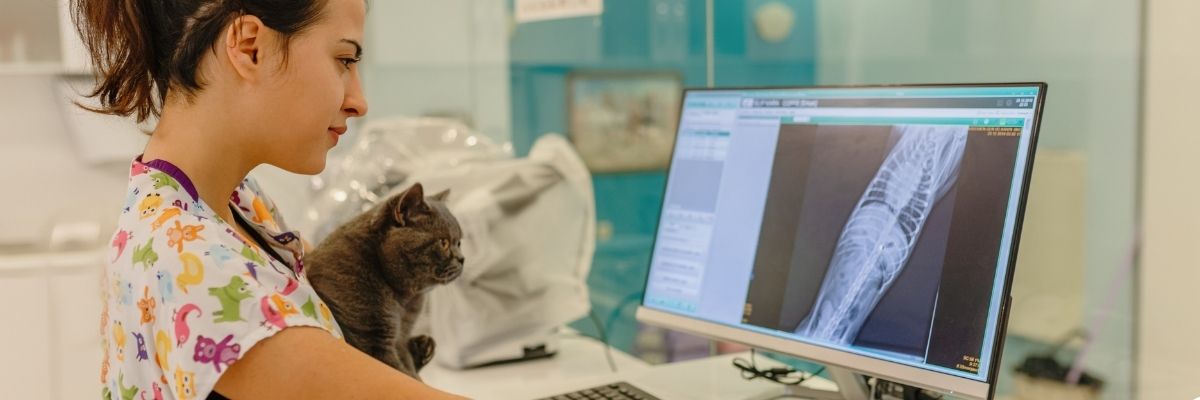 Etkileyici Twitter (X) Sözleri